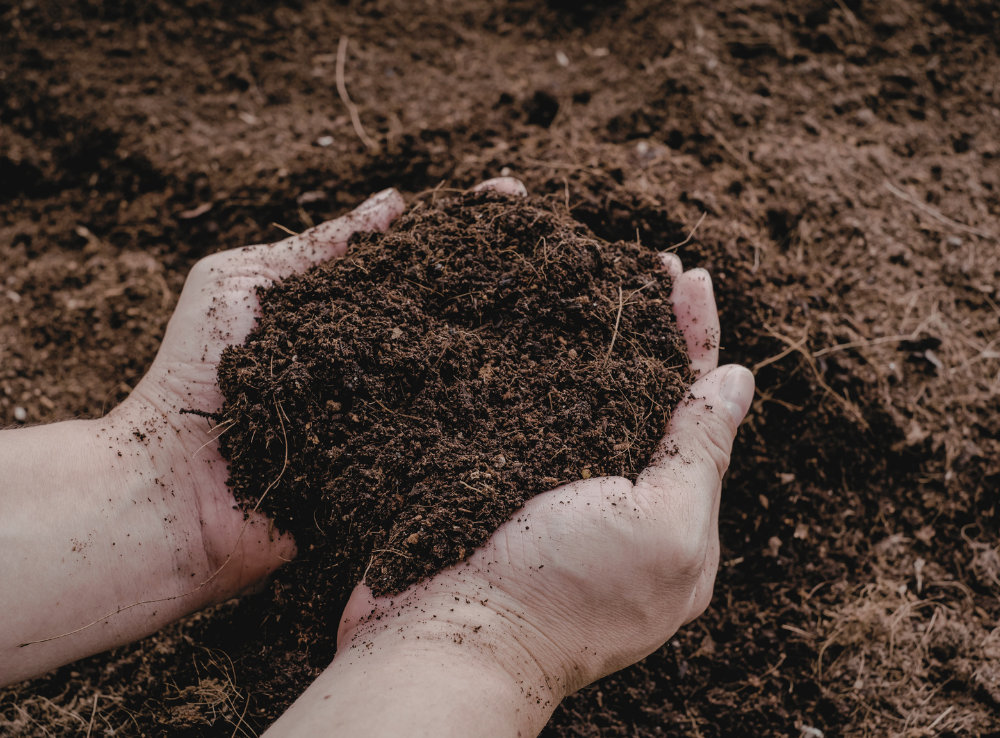 Why Most Gardeners Are Guessing When It Comes to Soil