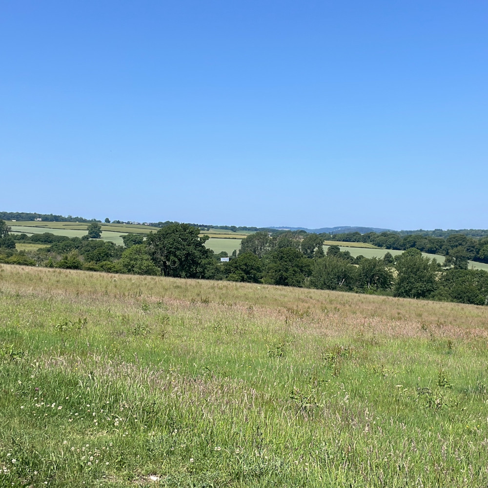 Grazing & Paddocks Test